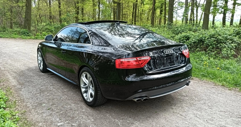 Audi S5 cena 56700 przebieg: 242602, rok produkcji 2009 z Susz małe 254